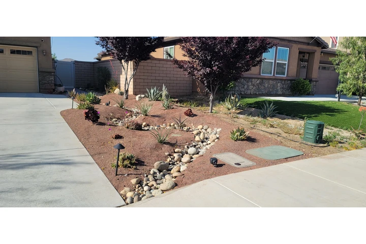 SN Landscape & Lawn Service image 7