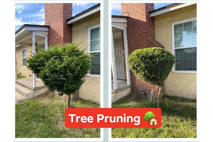 Corte de pasto 🏡$35 image 3