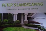 Landscaping service(jardinero) thumbnail 3