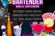 FIESTA Bartender w/Mobile Bar en Orange County