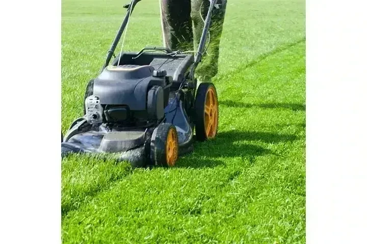 CANALEZ GARDENING SERVICES image 2