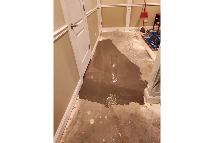 Panther construction image 8