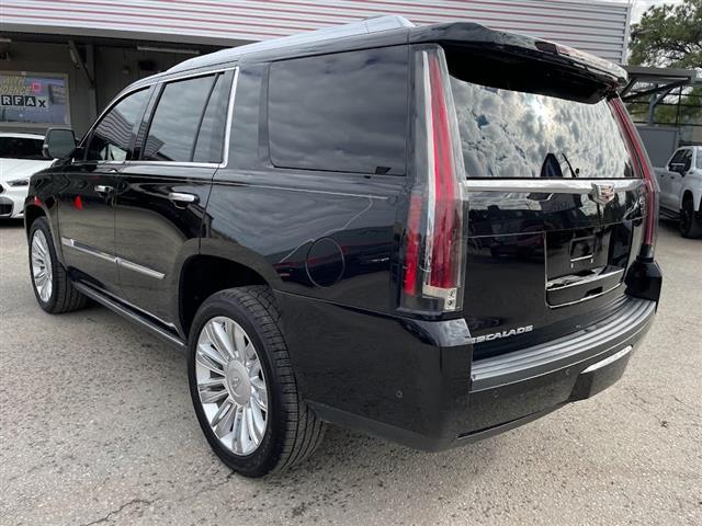 2017 Escalade 4WD 4dr Platinum image 6