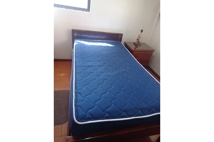 $50 : En Venta cama de 1 plaza y med image 1