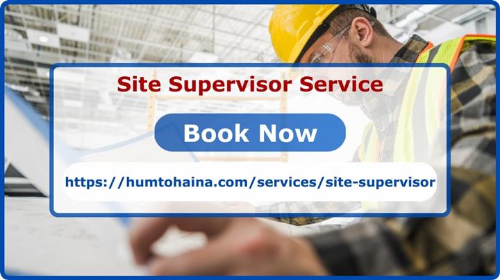 HumTohHaiNa  Site supervision image 1
