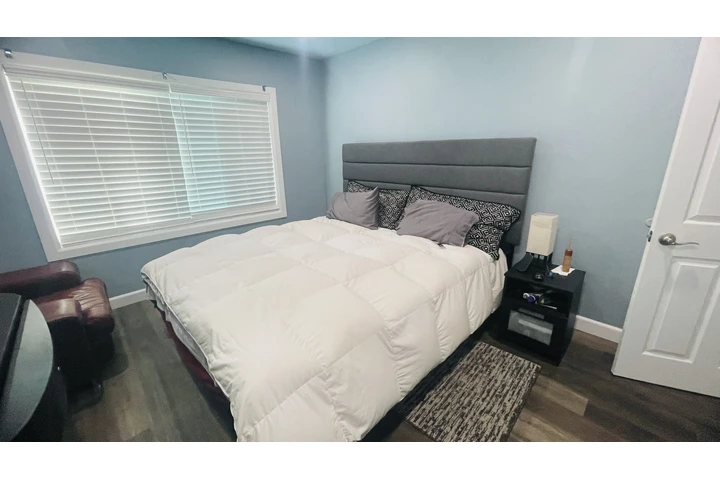 $1 : FREE FREE FREE image 3