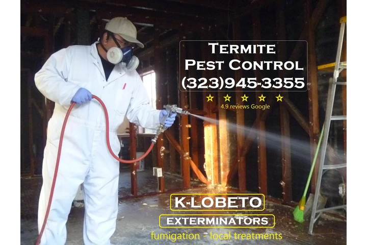 Fumigations - New Year 2026 image 10