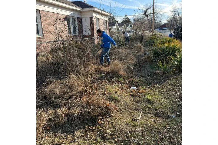 Landscaping Services image 7