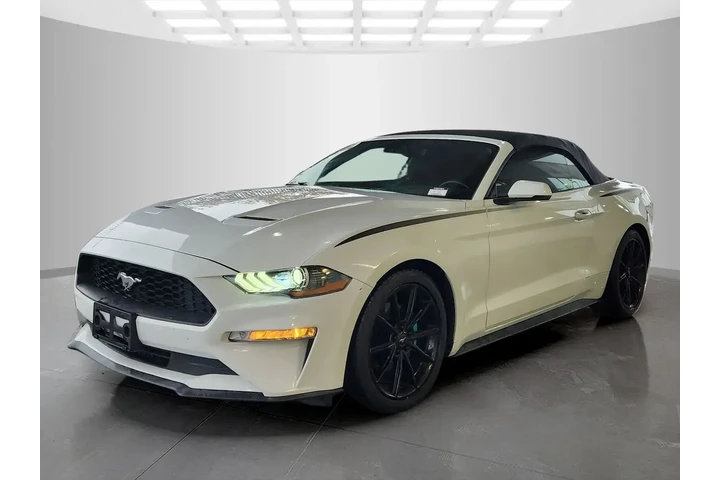 $19535 : Ford Mustang 2019 EcoBoost 2 image 3