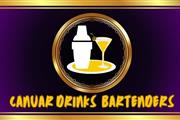 BARTENDERS Y MESEROS thumbnail