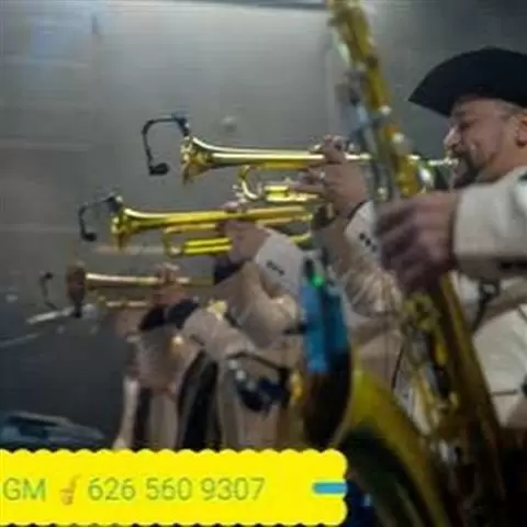 🎷música para tu fiesta GM🎙LA image 1