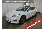 Tesla Model 3 2019 AWD Perfo en Cleveland