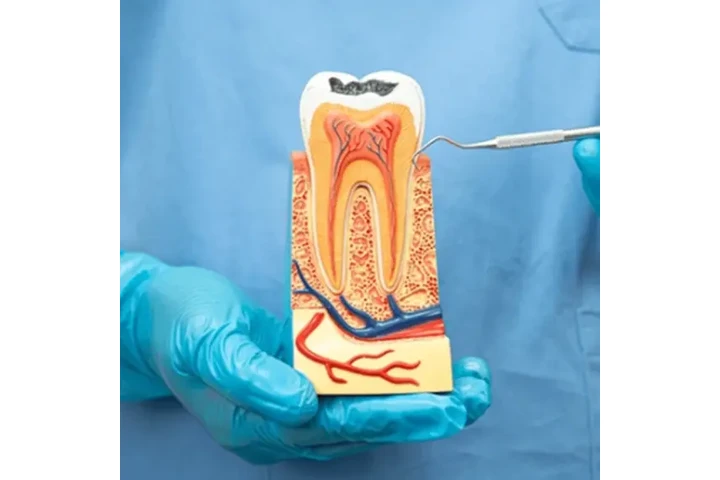 Bui Phuong-Ly Thi - Dentista image 4