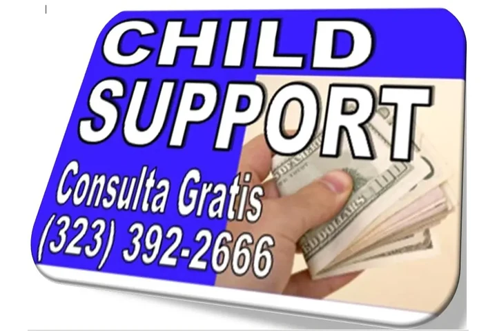 █►CARTA PODER📢CUSTODIA/VISITA image 4