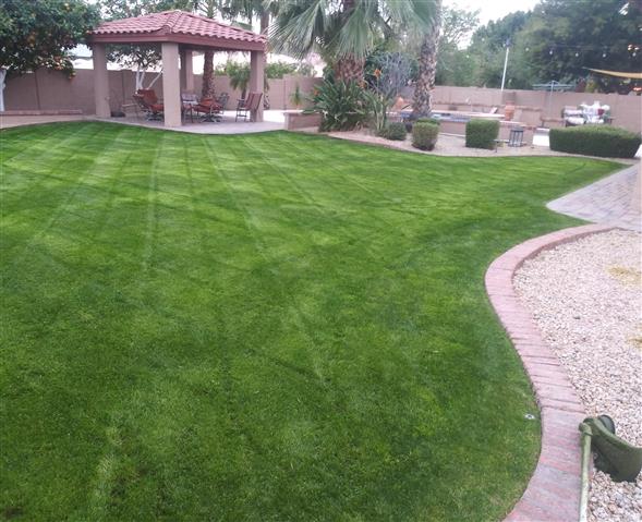 Anderson landscaping image 3