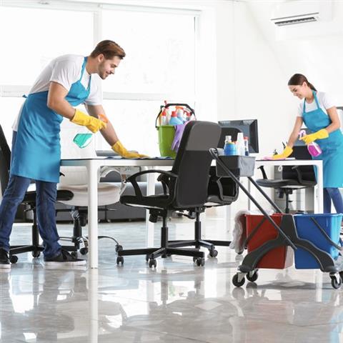 TDJ Professional Cleaning Comp image 2