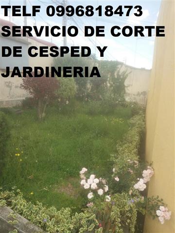 JARDINERIA Y CORTE DE CESPED image 1