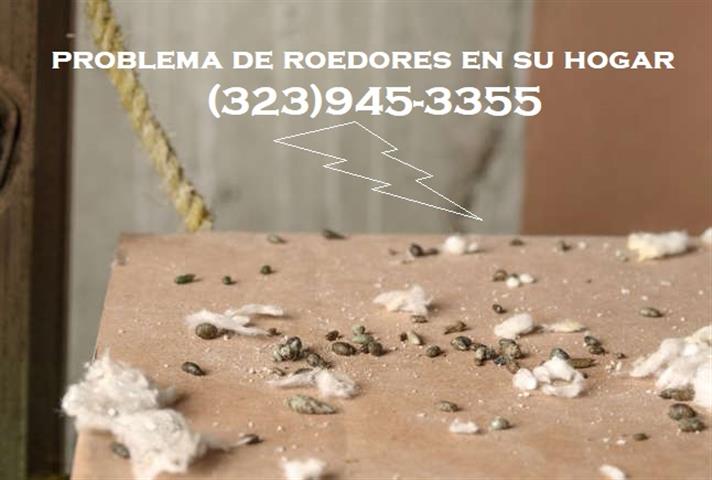 RODENTS PEST CONTROL SERVICES image 3