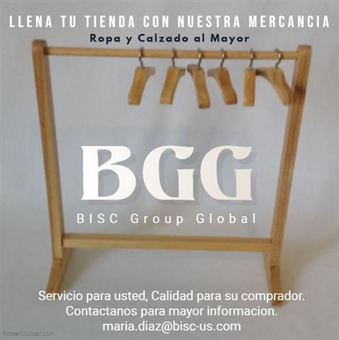 BISC Group Global image 1