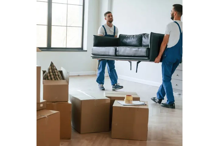 Francisco Mudanzas y Junk image 5