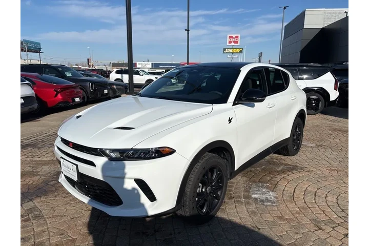 $24998 : 2024 Hornet GT Plus image 1