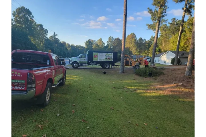 Mora's Tree Service LLC image 10
