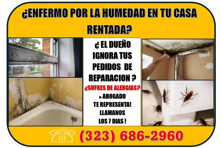 🔥¿TIENE PROBLEMAS DE HUMEDAD? image 2