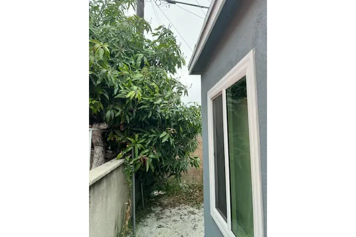 Corte de pasto 🏡$35 image 3