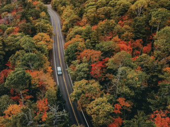 Viajes por carretera en el otoño