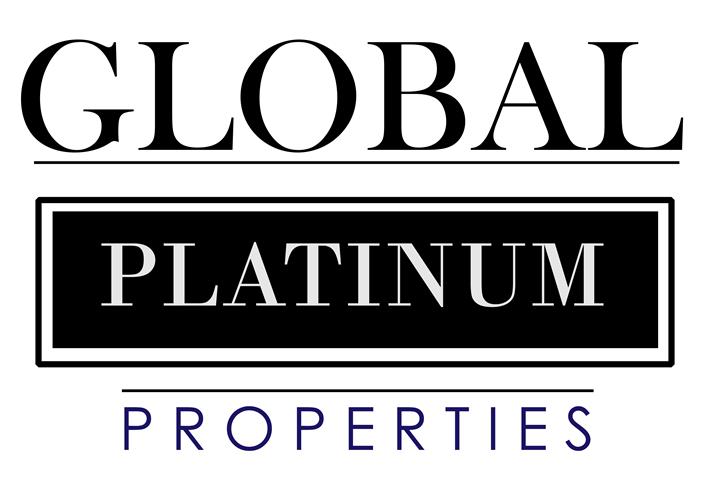 Global Platinum Properties image 1