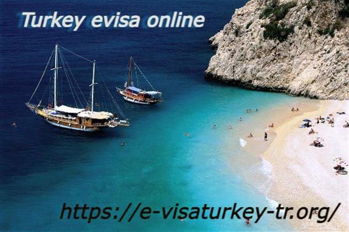 Get Turkish E visa image 1