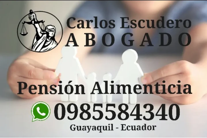 Abogado Pensión Alimenticia image 1