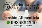 Abogado Pensión Alimenticia en Guayaquil