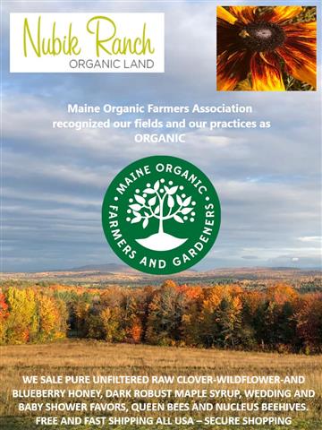 Nubik Farm Organic Land image 1