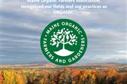 Nubik Farm Organic Land