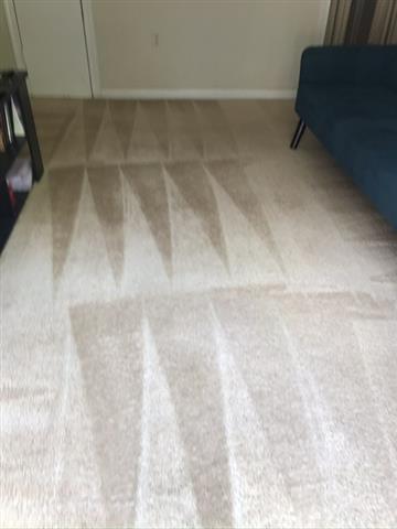 Limpieza de alfombras image 3