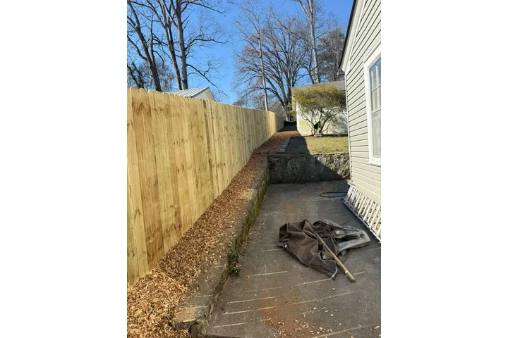 Professional Tree &Landscaping image 9