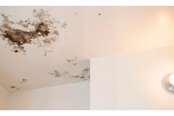 Mundos Janitorial LLC image 3