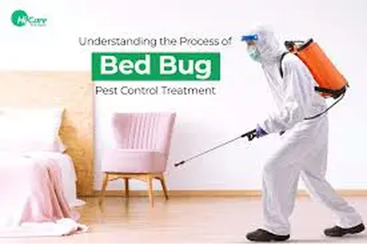Bed Bugs, Mosquito  Experts image 1
