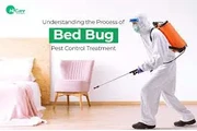 Bed Bugs, Mosquito  Experts en Boise