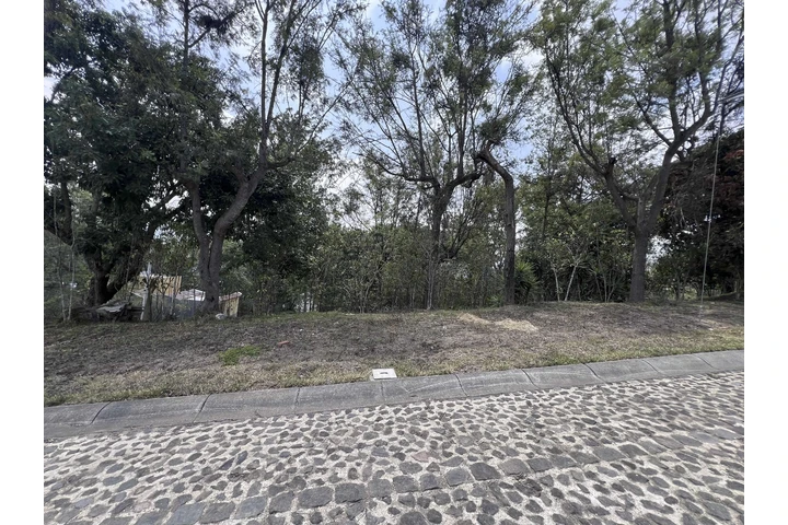$97000 : Terreno en Antigua Gardens image 2