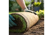 Landscaping Services thumbnail