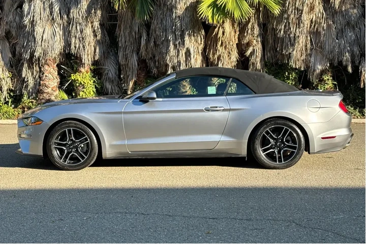 Ford Mustang 2020 EcoBoost P image 6