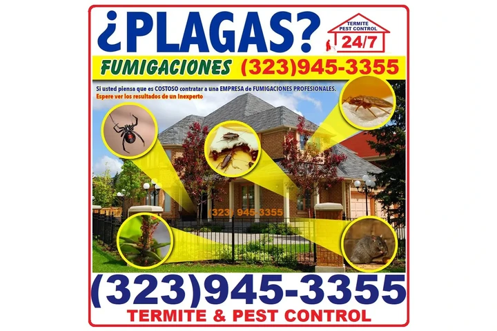 BEST EXTERMINATORS LOS ANGELES image 8