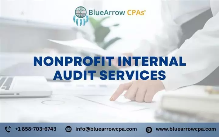 Nonprofit internal audit image 1