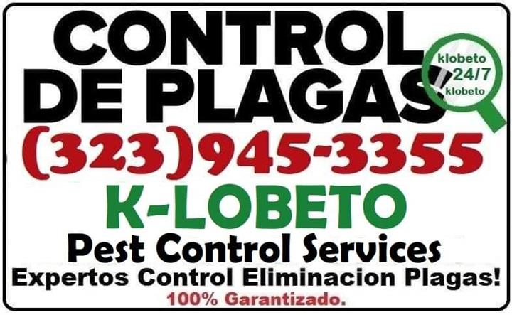 Control Plagas 24/7. image 8