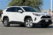 $34500 : RAV4 Hybrid LE thumbnail