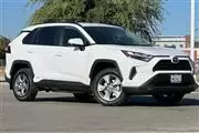 $34500 : RAV4 Hybrid LE thumbnail