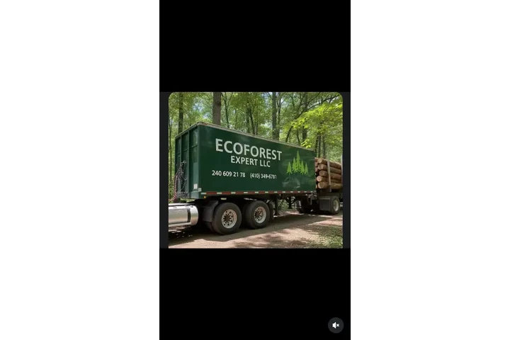 eco forest expert llc image 2