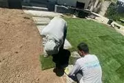 Landscaping and Concrete